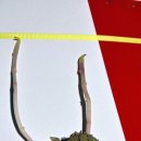 행복한감자 영농조합 이미지