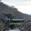 성보세탁 | 3월 4월 봄 여행지 추천 해남 대흥사 초의 선사 전남 가볼 만한 곳