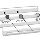 휴먼사이언스