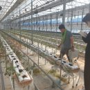 연동2농장 이미지