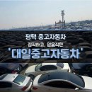 대일오토 이미지