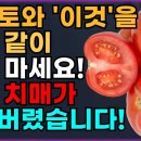 토마토와 상극인 음식 TOP 3! 절대 같이 섭취하시면 안됩니다!! 건강한 노년기 위해 먹는 토마토! 꼭 이렇게 드세요. 암과 치매 예 이미지