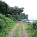 호근동-7 이미지