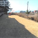 자월면사무소 이미지