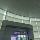 714 | 아시아나항공 타이베이 OZ711, OZ714 기내식 후기