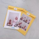 코튼볼스튜디오