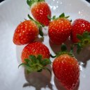 북문로1(남) | 당진 우두동 소재 현지인이 끊임 없이 찾는 숨은 맛집(횟집) "꾸이꾸이" 방문 후기