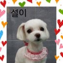 깍까독 이미지