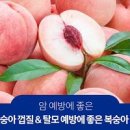 복숭아 이미지