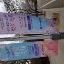 인천대공원 벚꽃 축제 이미지