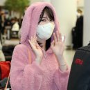 핑크토끼 이미지