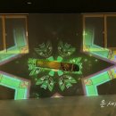 가야금튕겨보기 이미지