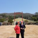 장군묘지 - 함양군 학사루2길 5-1 | 장군묘지