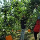 윤복남농장 이미지