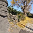 은행나무주유소 이미지