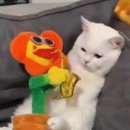 노래야노래야 코인노래연습장(노량진점) 이미지