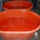 구포1동-3 이미지