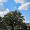 연화모텔 이미지