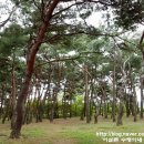 흥해서부초등학교 | [경북 포항] 포항 근교 걷기 좋은곳 &#34;북천수&#34;