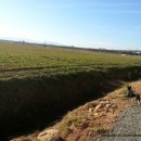 김철수농장 이미지