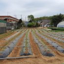 새샘병원 이미지