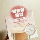 식물나라 | 내돈내산 가성비 선팩트｜식물나라 뽀얀쌀 톤업 선쿠션 후기