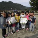 속리초교 병설유치원 이미지