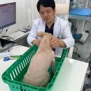 강남애니동물병원 이미지