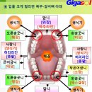 치과에서 치료 받은 후 사망 이미지