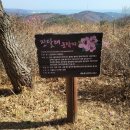 양정생활체육공원 이미지