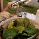 스테이 다로 2 이미지