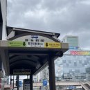 피터팬피자 | [일본/도쿄] 도쿄 디즈니씨 판타지 스프링스 라푼젤, 피터팬, 겨울왕국 3종 탑승후기