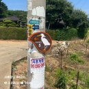 부리보건진료소 네이버블로그