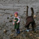 해오름농장 이미지