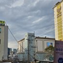 이안안경렉슬점 | "텐트밖은 유럽" 한가인 착용 브랜드 선글라스 이안안경에서 직접 시착해본 후기