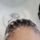 장미용실 | 위례미용실 장루이다비드 위례점 케라스타즈 클리닉 받은 후기