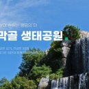 자연의터생태 이미지