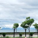 동동(DongDong)