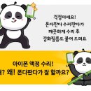 폰다판다 이미지