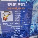 (주)마나포션 | 135썬콜 푸른켄타우로스의 영역 24시간 파밍후기 (4/20)