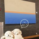 제이케이방역 | 염창동 JK 블라썸호텔 JK Blossom Hotel 비즈니스 트윈스 휴일 가성비 호캉스 이용후기