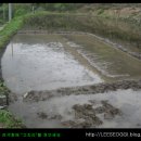석기시대 이미지