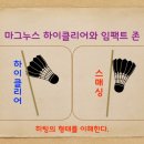 하이클리어 - 평택시 평택4로 43 | 하이클리어