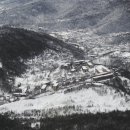 광산슈퍼