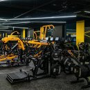 웰니스짐 이미지