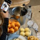 해이랑마파람 이미지