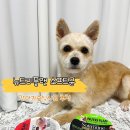 그레이드소프트 | 강아지습식사료 기호성 좋은 동원 뉴트리플랜 소프트뮨