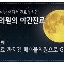 진체형클리닉(피부미용)