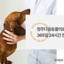 북부 동물병원 이미지