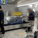 탱이 푸드 연구소 | [빠떼리 Weekleee] 23년 4월 4주